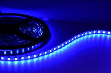 Lampade fluorescenti flessibili impermeabili di SMD2835 LED per la decorazione del parco a tema